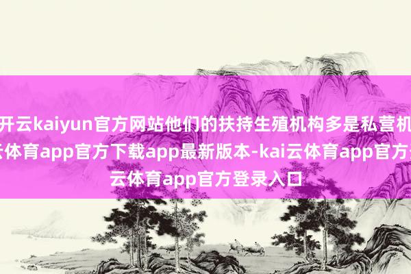 开云kaiyun官方网站他们的扶持生殖机构多是私营机构-kai云体育app官方下载app最新版本-kai云体育app官方登录入口