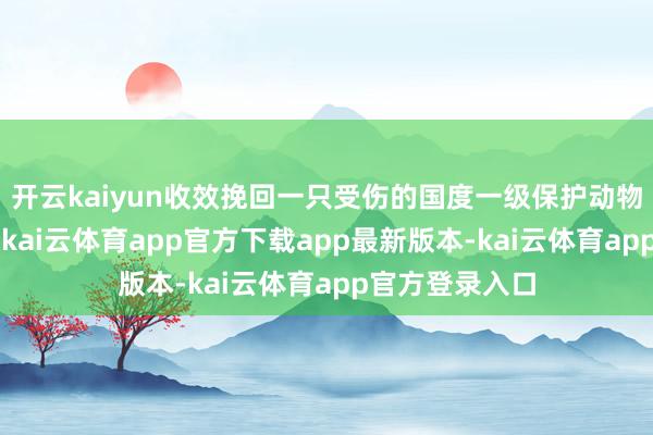开云kaiyun收效挽回一只受伤的国度一级保护动物“东方白鹳”-kai云体育app官方下载app最新版本-kai云体育app官方登录入口