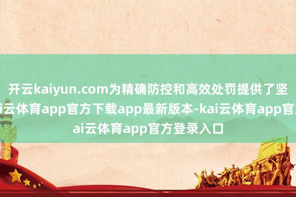 开云kaiyun.com为精确防控和高效处罚提供了坚实底盘-kai云体育app官方下载app最新版本-kai云体育app官方登录入口