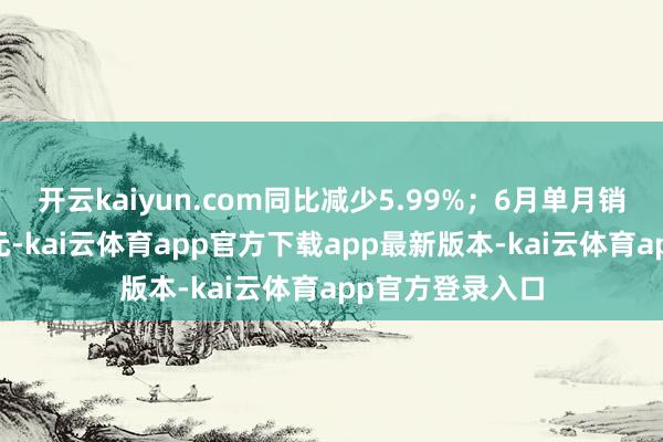开云kaiyun.com同比减少5.99%；6月单月销售金额约48亿元-kai云体育app官方下载app最新版本-kai云体育app官方登录入口