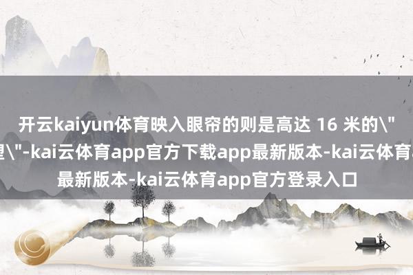 开云kaiyun体育映入眼帘的则是高达 16 米的